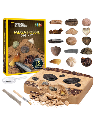 National Geographic Mega Fossil Dig Kit